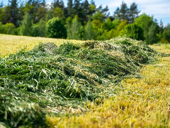 HayMax Full Term